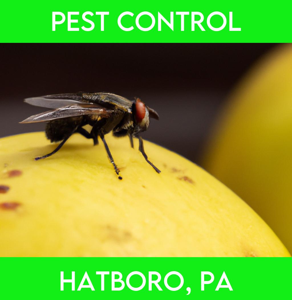 pest control in Hatboro Pennsylvania