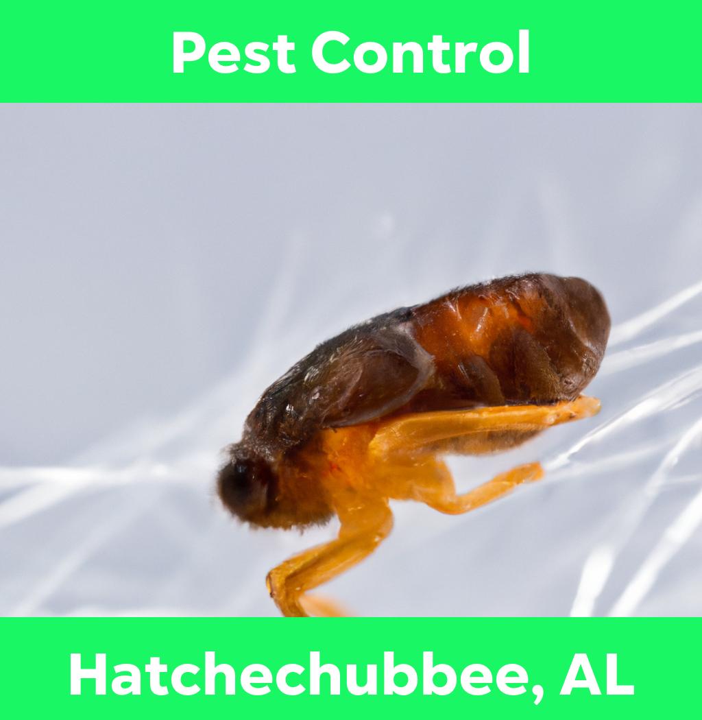 pest control in Hatchechubbee Alabama