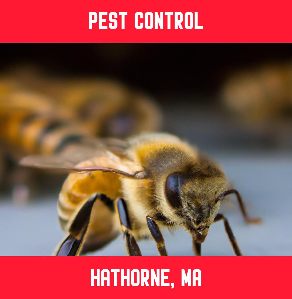 pest control in Hathorne Massachusetts