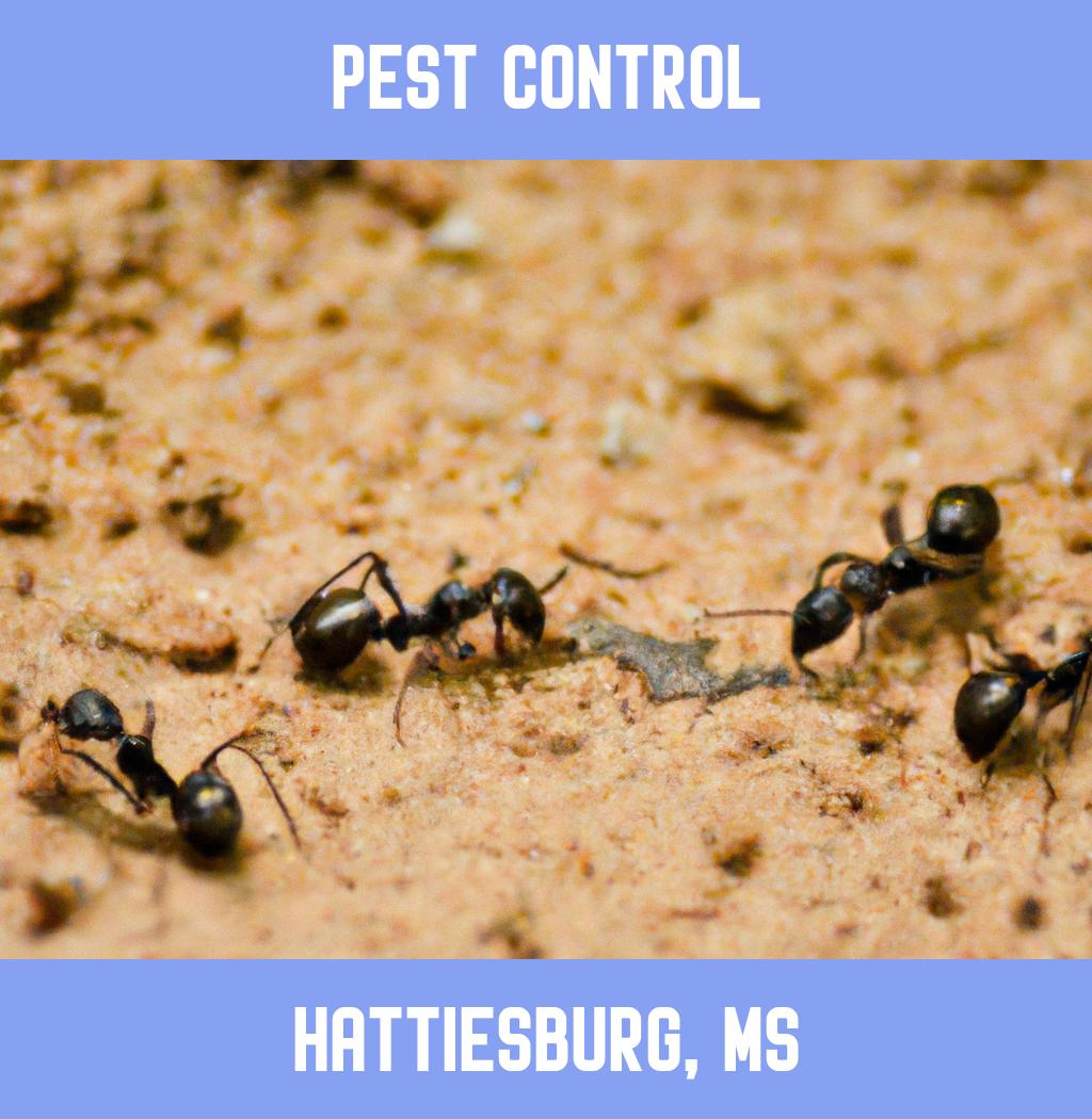 pest control in Hattiesburg Mississippi