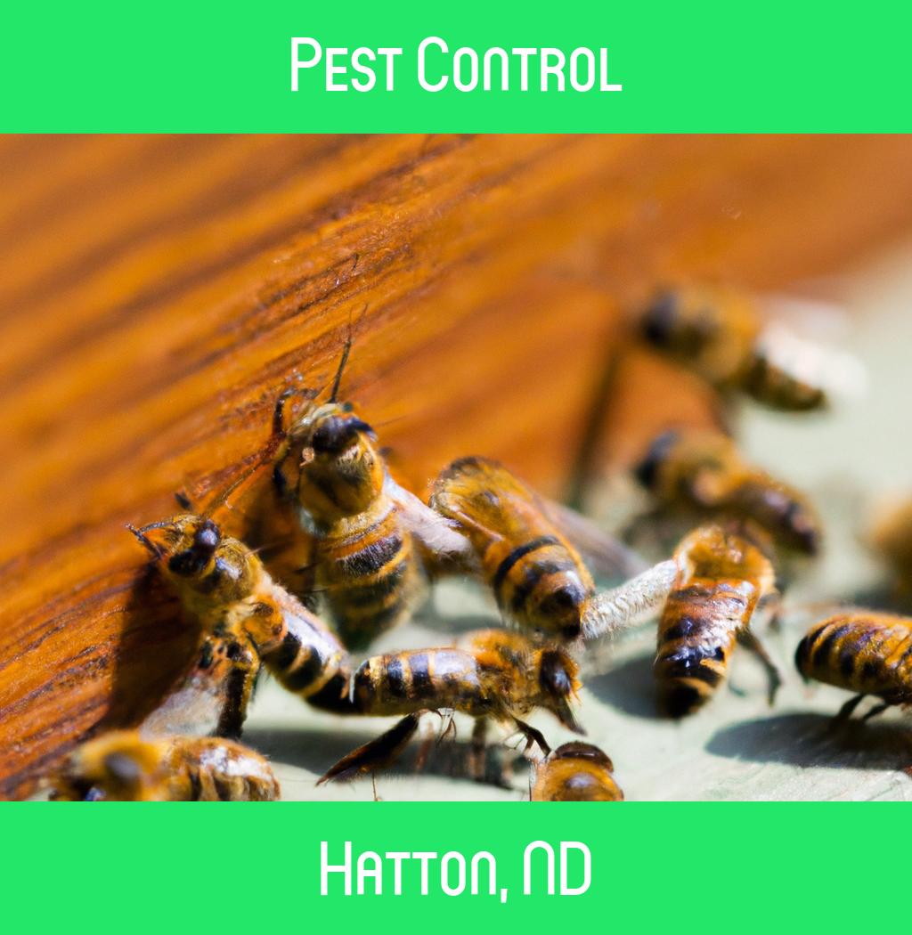 pest control in Hatton North Dakota