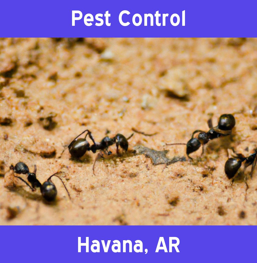 pest control in Havana Arkansas