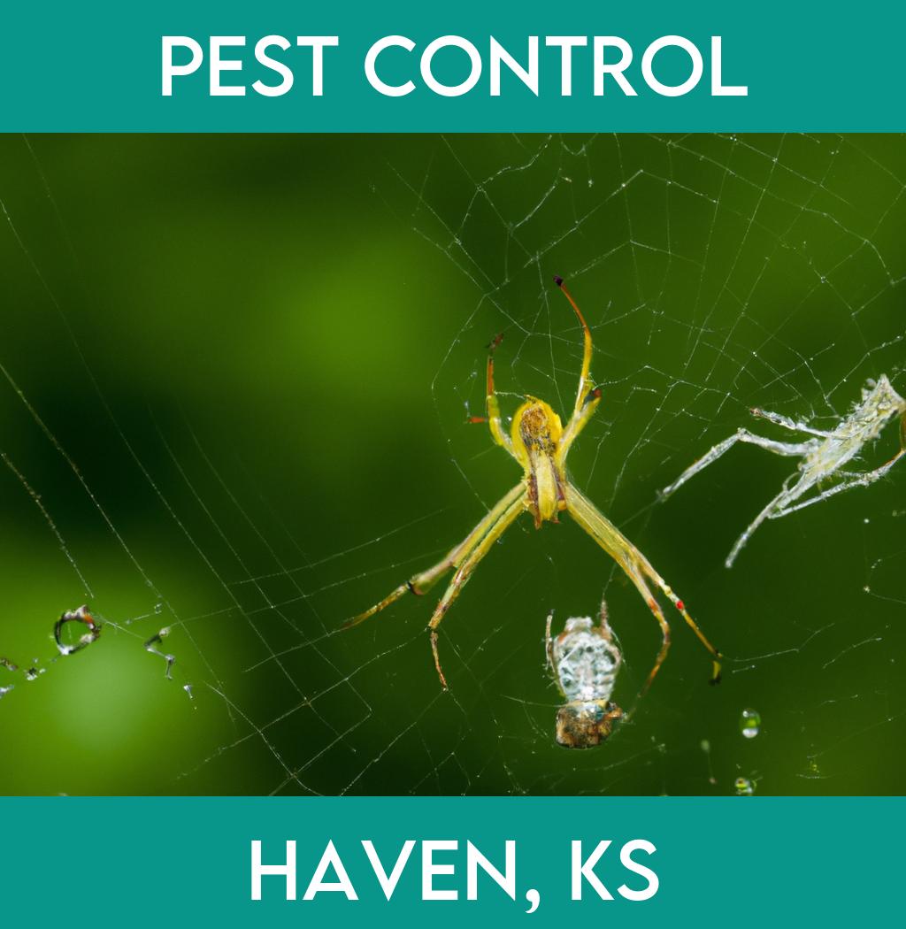 pest control in Haven Kansas