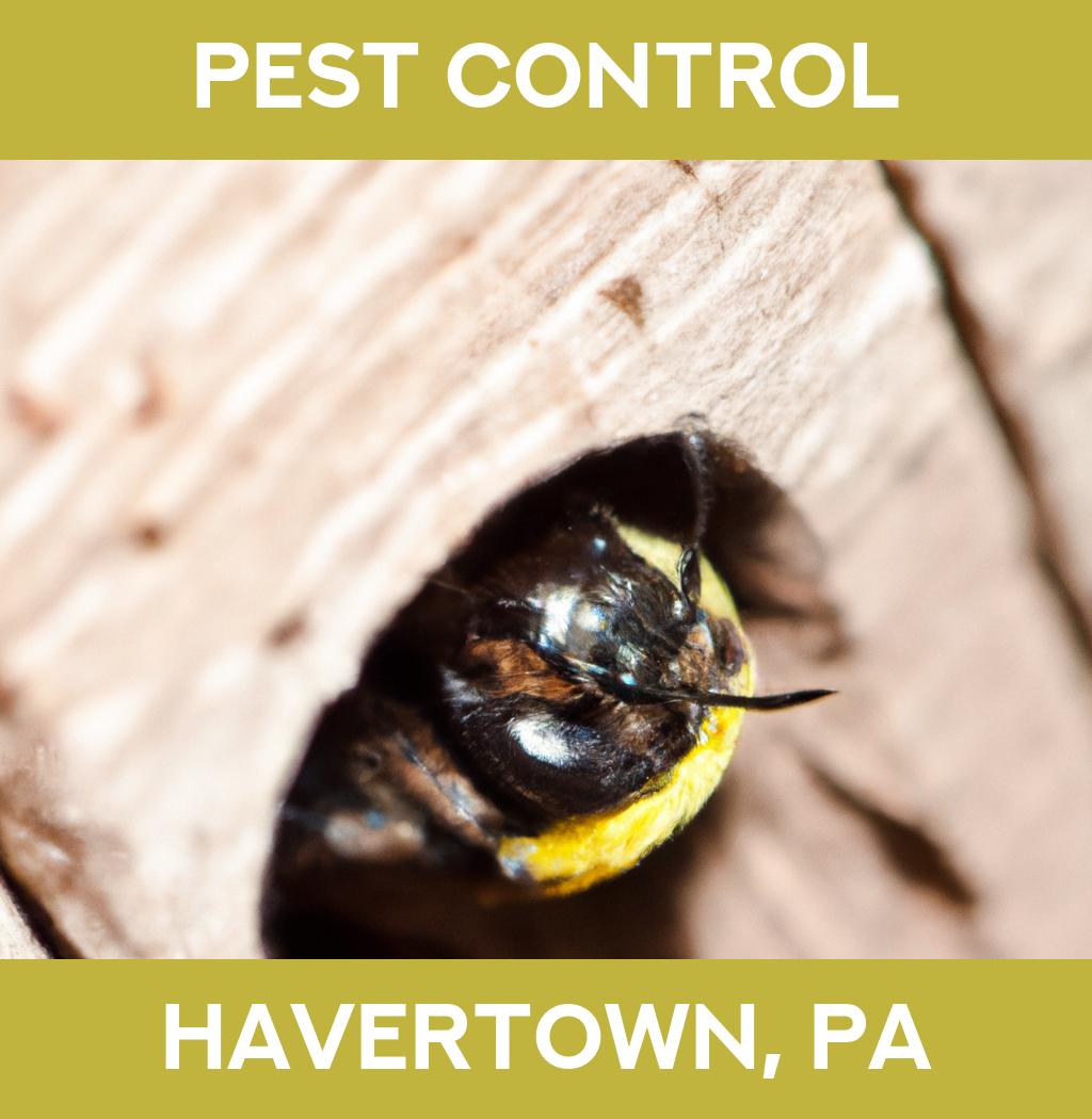 pest control in Havertown Pennsylvania
