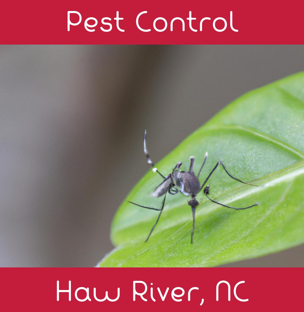 pest control in Haw River North Carolina