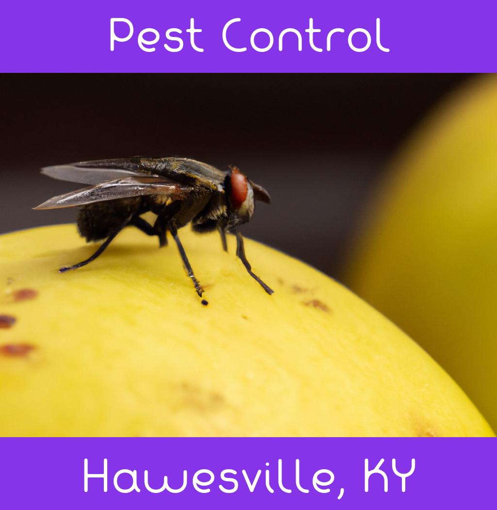 pest control in Hawesville Kentucky