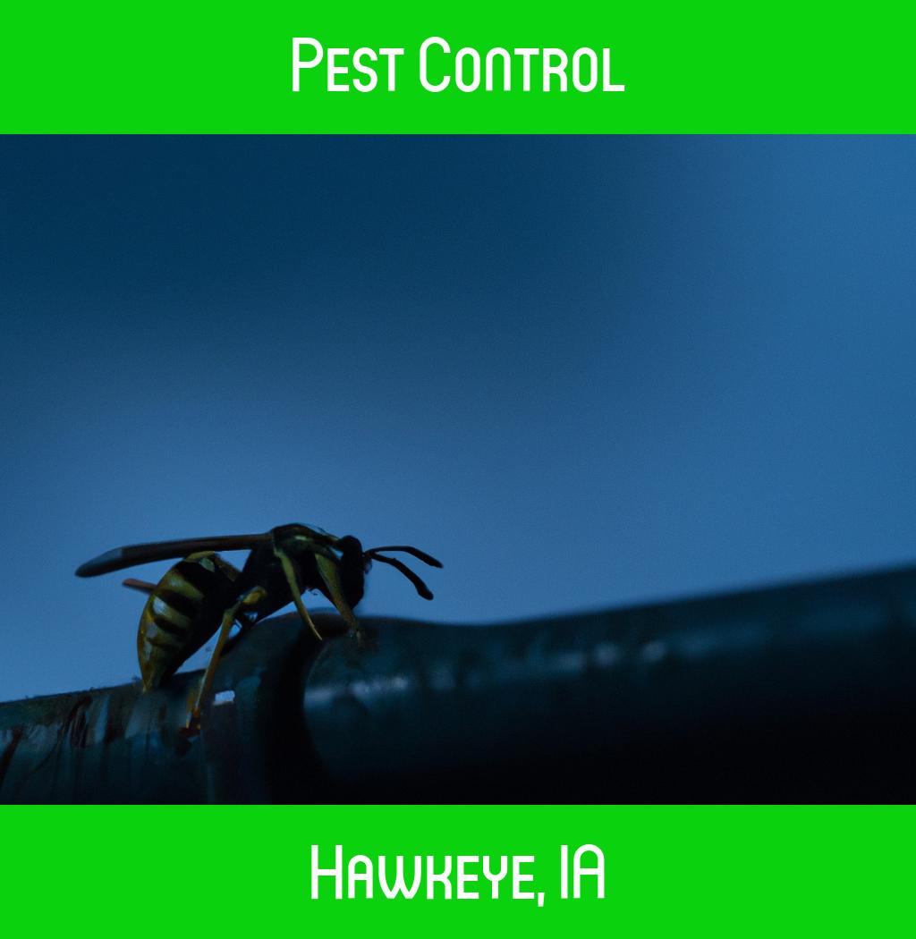 pest control in Hawkeye Iowa