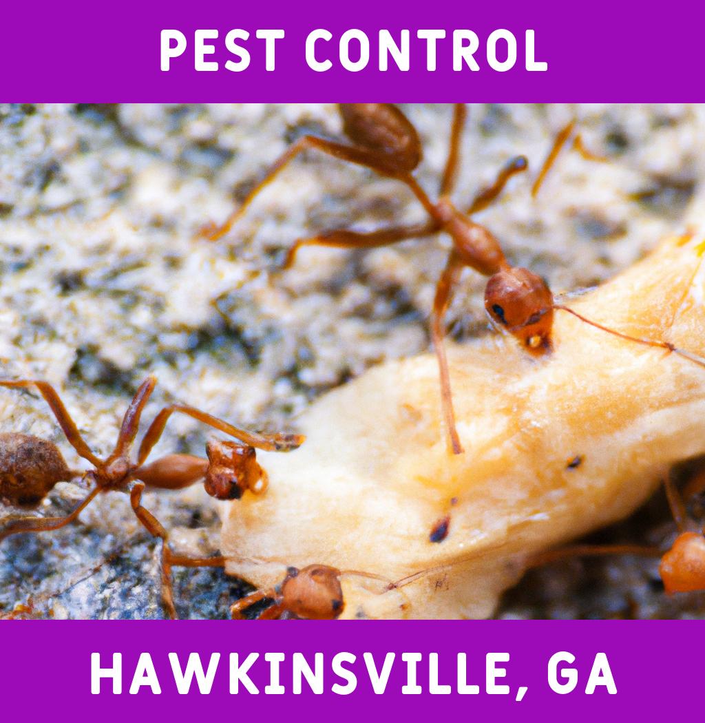 pest control in Hawkinsville Georgia