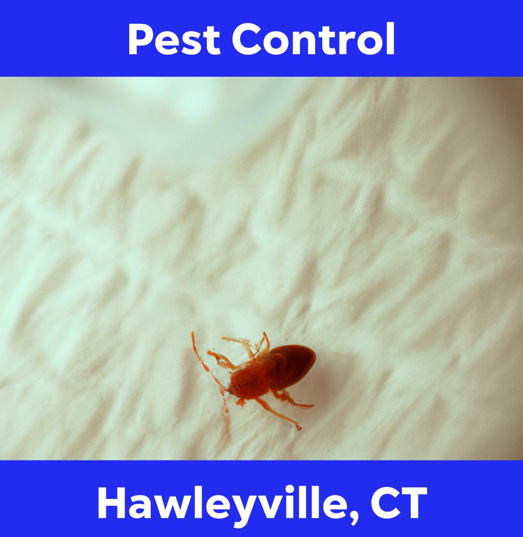 pest control in Hawleyville Connecticut