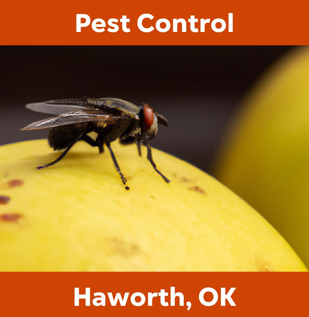 pest control in Haworth Oklahoma