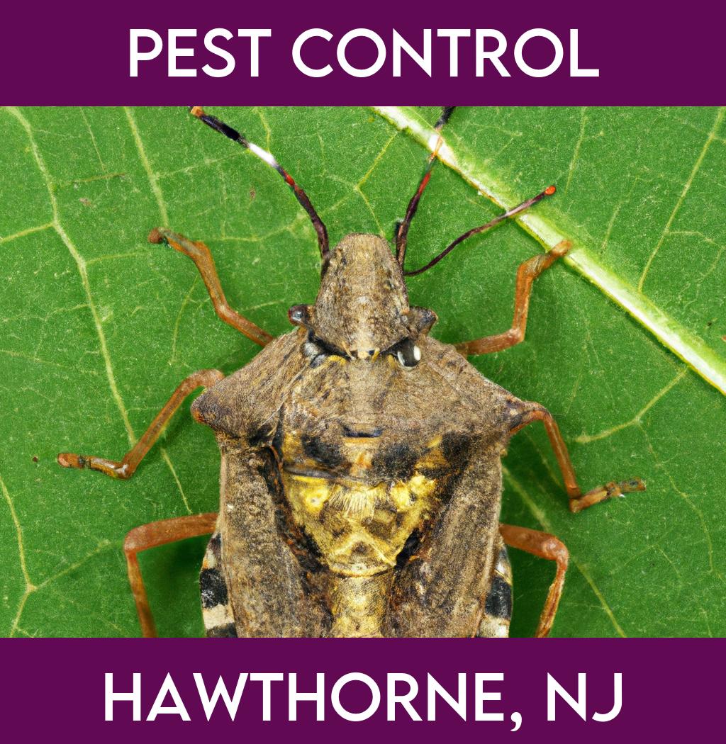 pest control in Hawthorne New Jersey