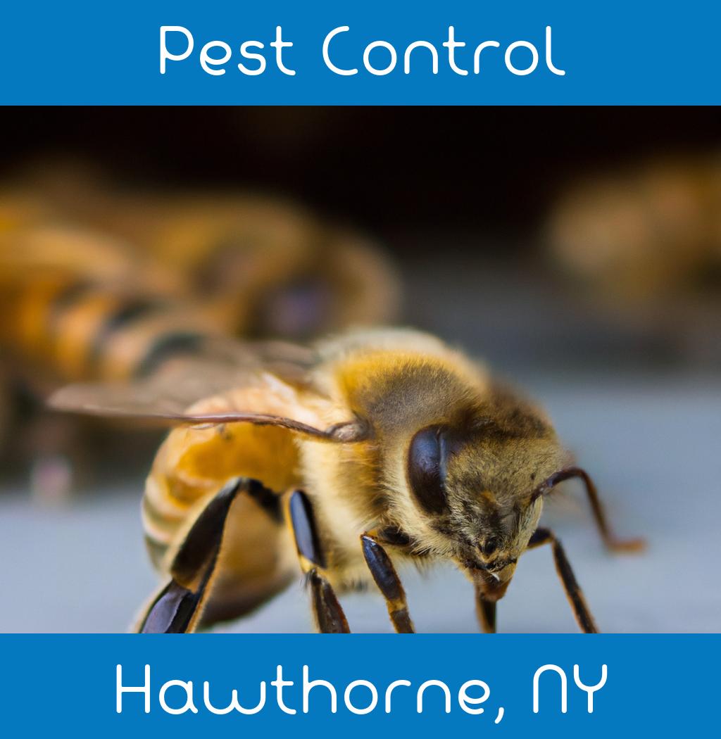 pest control in Hawthorne New York