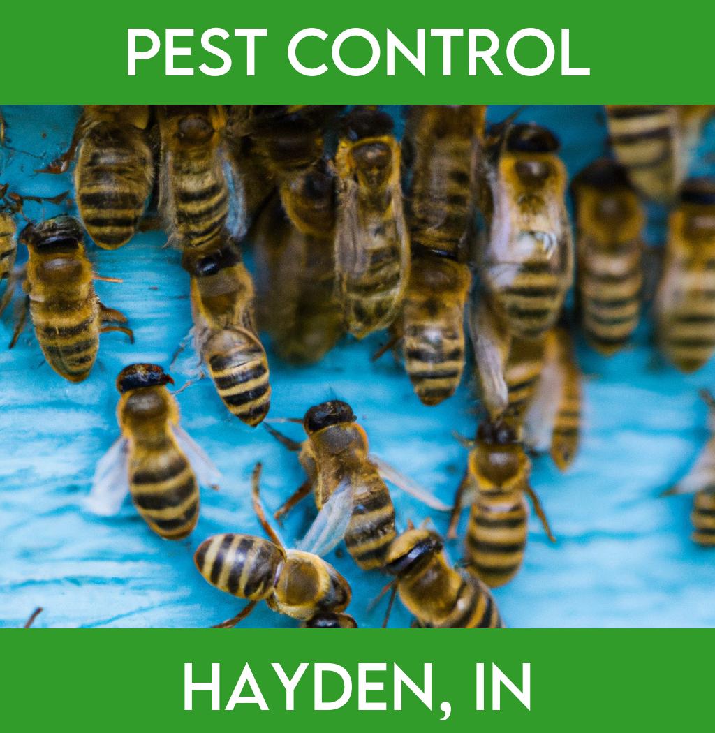 pest control in Hayden Indiana