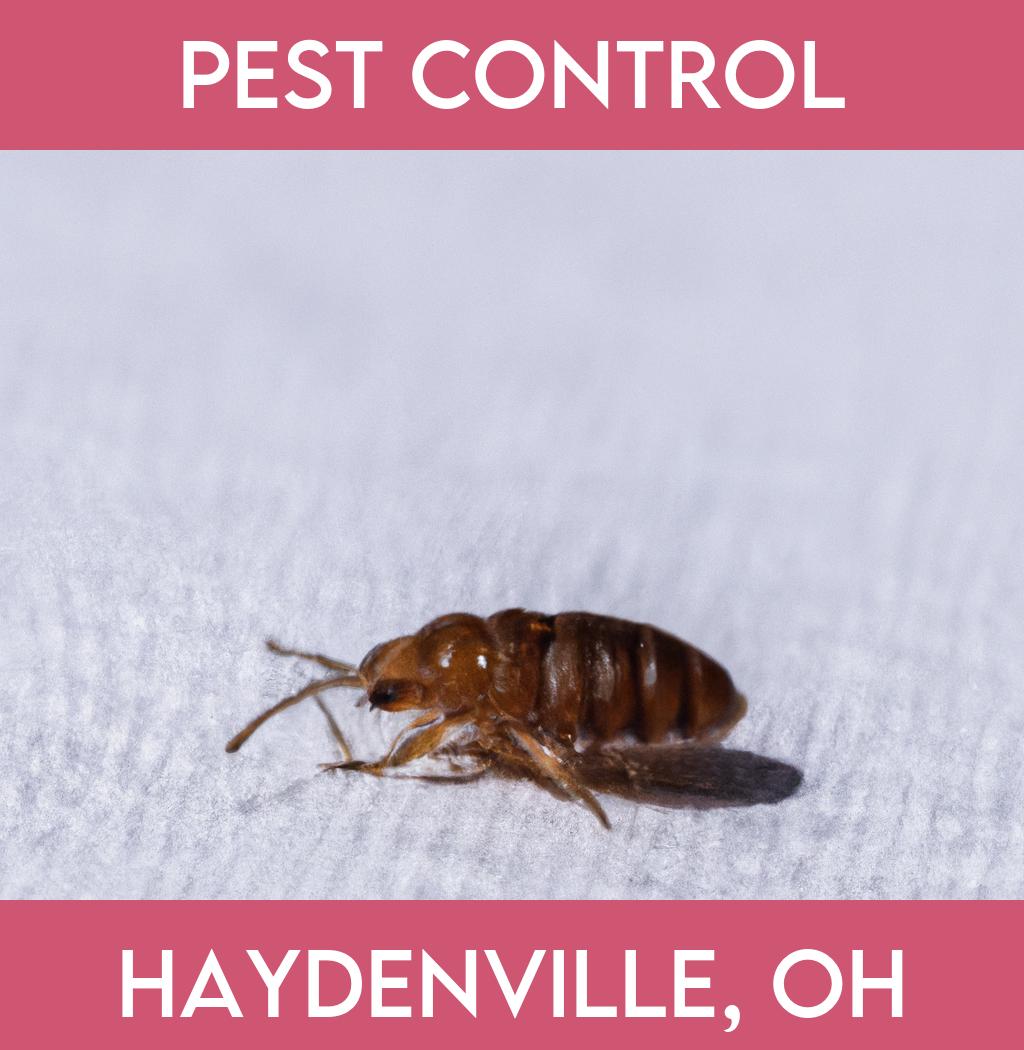pest control in Haydenville Ohio