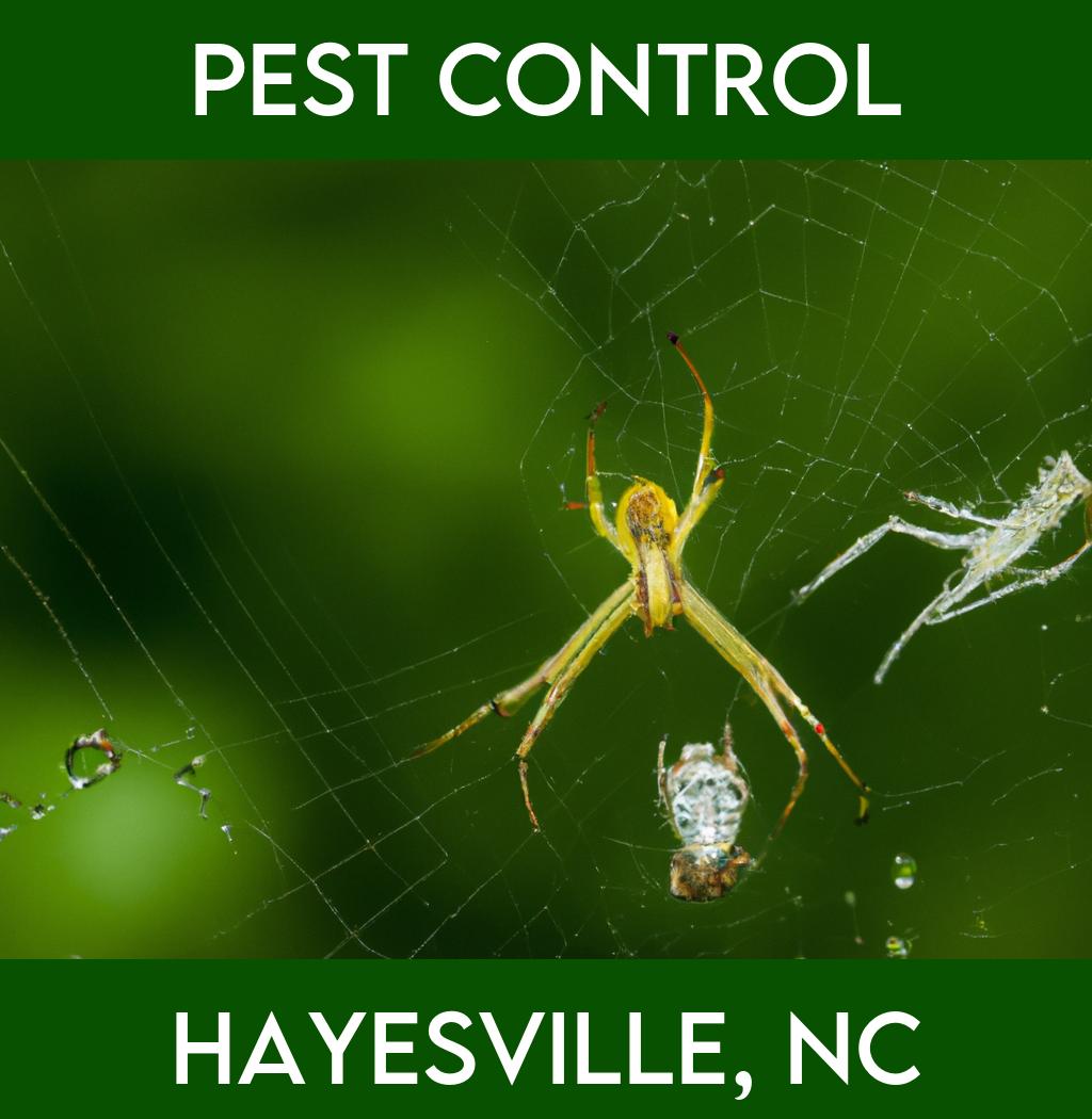 pest control in Hayesville North Carolina