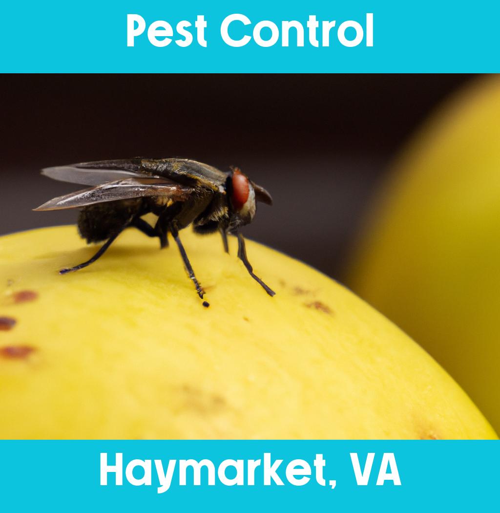 pest control in Haymarket Virginia