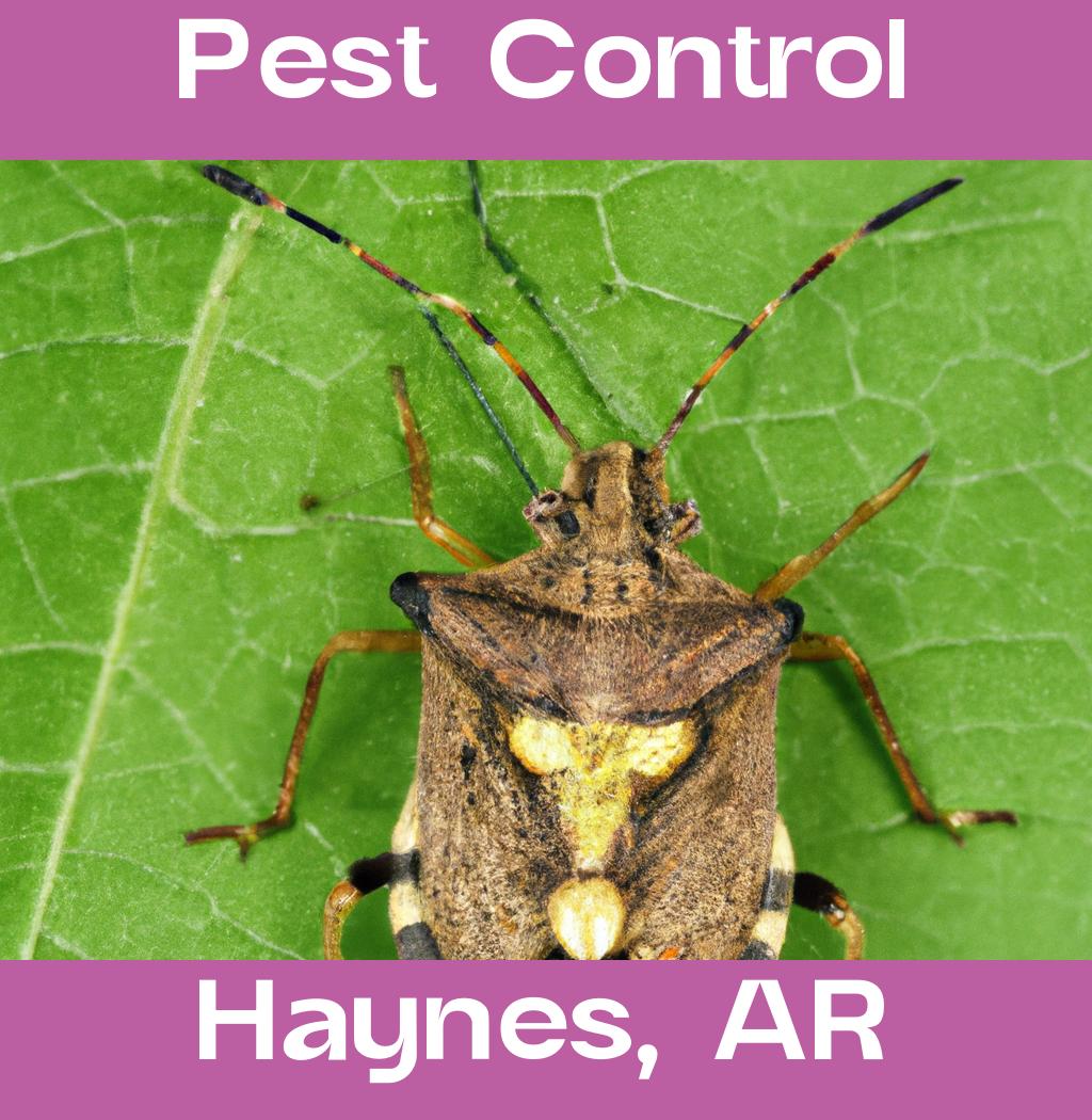 pest control in Haynes Arkansas
