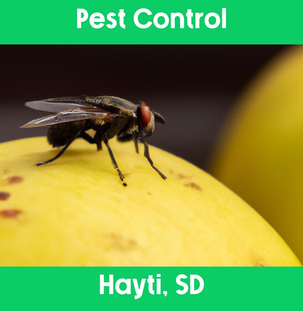 pest control in Hayti South Dakota