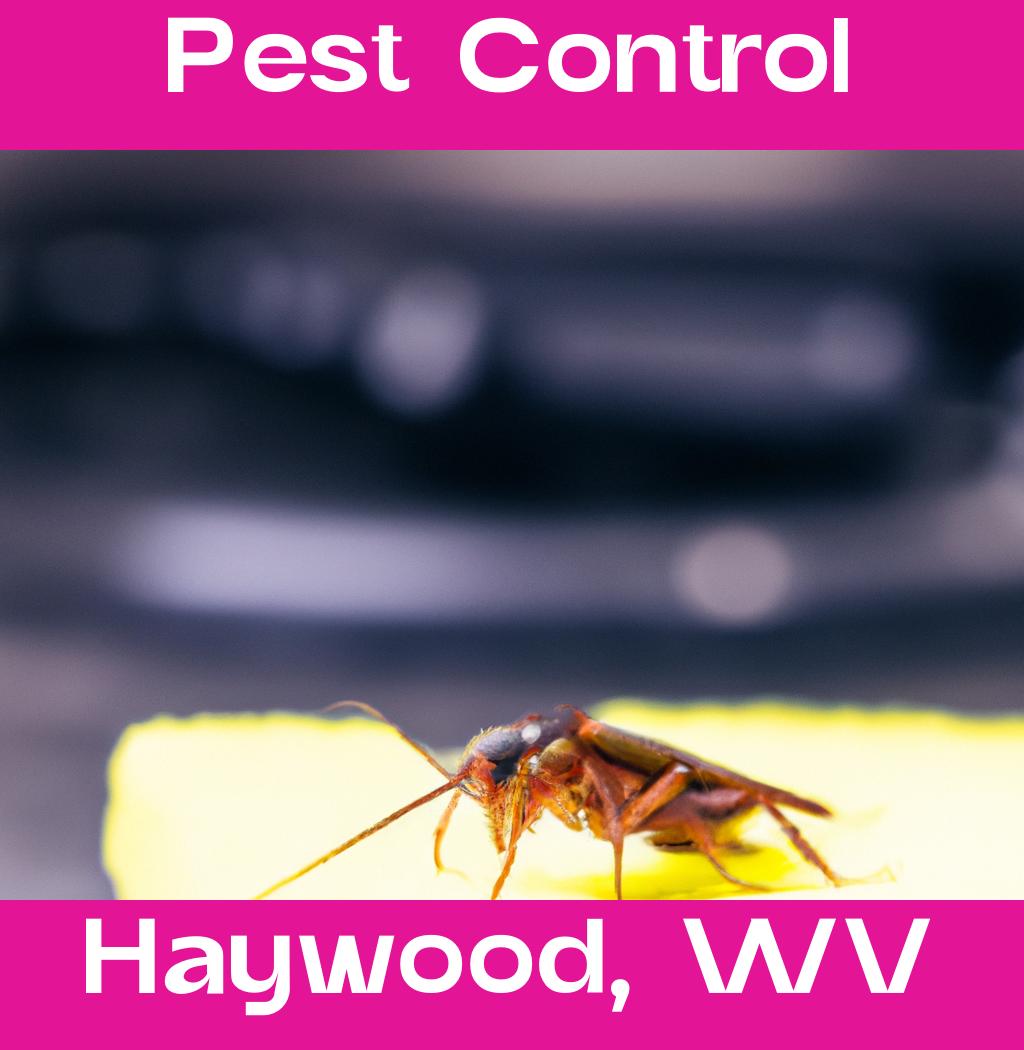 pest control in Haywood West Virginia