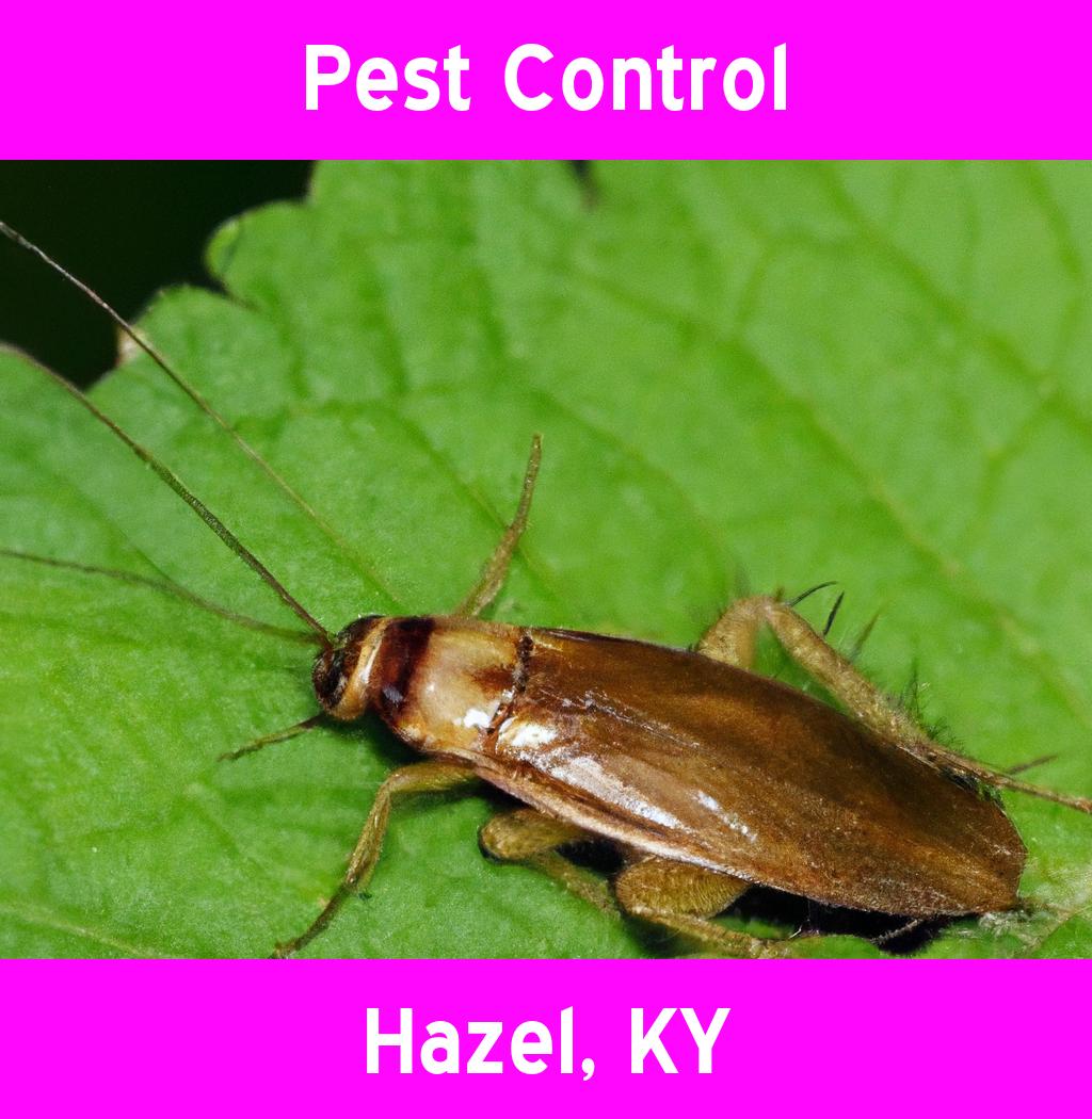 pest control in Hazel Kentucky