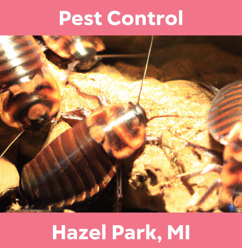 pest control in Hazel Park Michigan