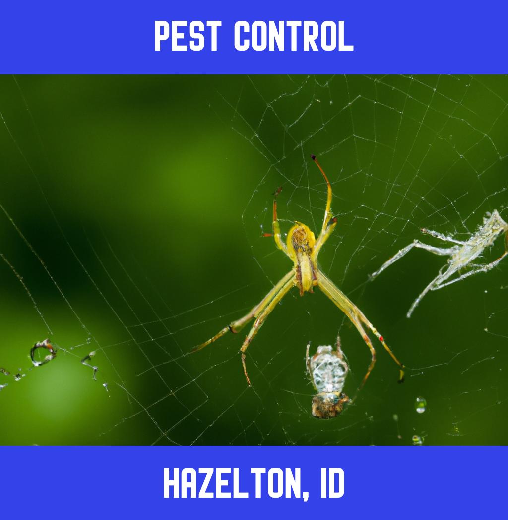 pest control in Hazelton Idaho