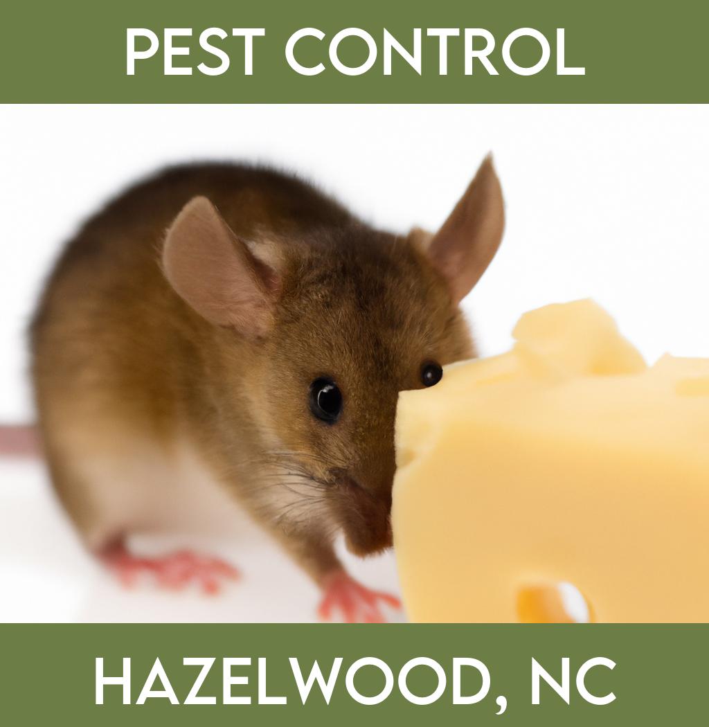 pest control in Hazelwood North Carolina