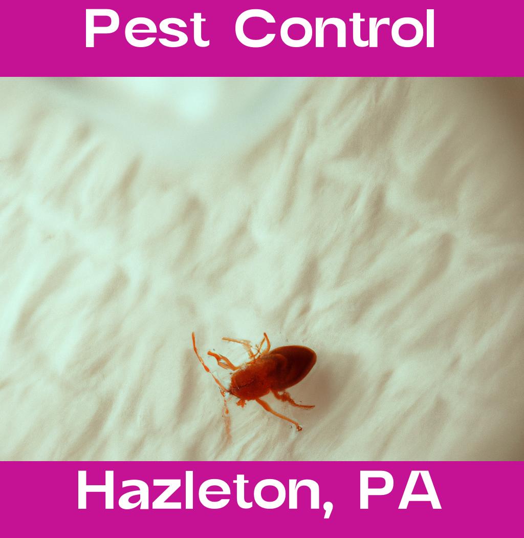 pest control in Hazleton Pennsylvania