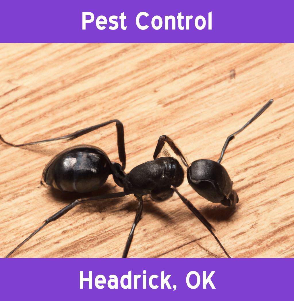 pest control in Headrick Oklahoma