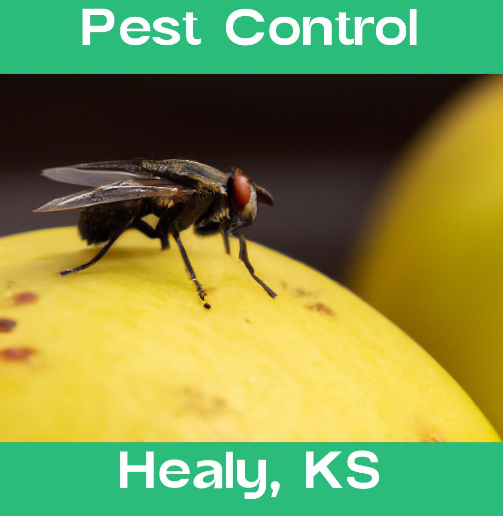 pest control in Healy Kansas