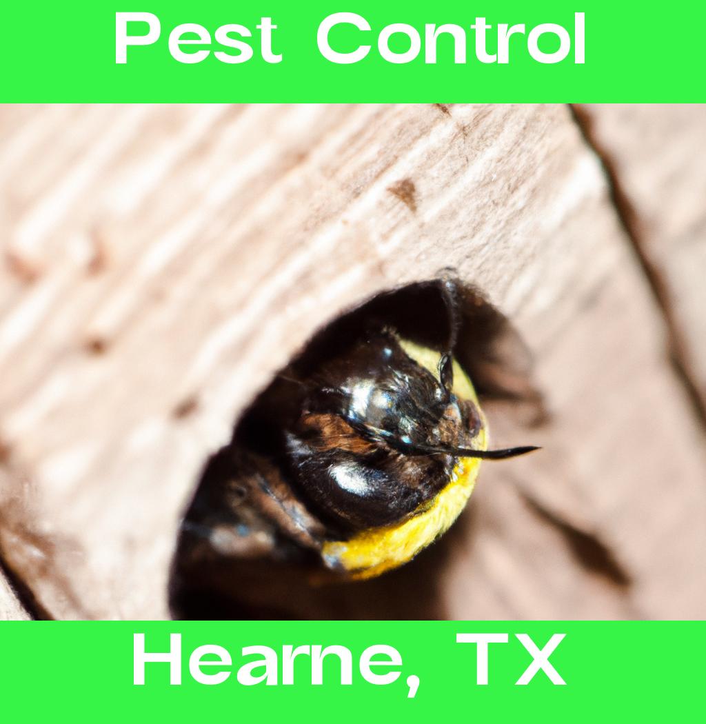 pest control in Hearne Texas