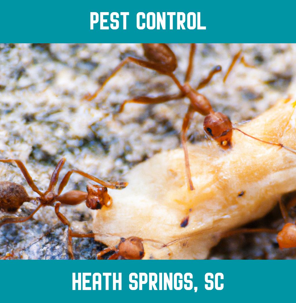 pest control in Heath Springs South Carolina