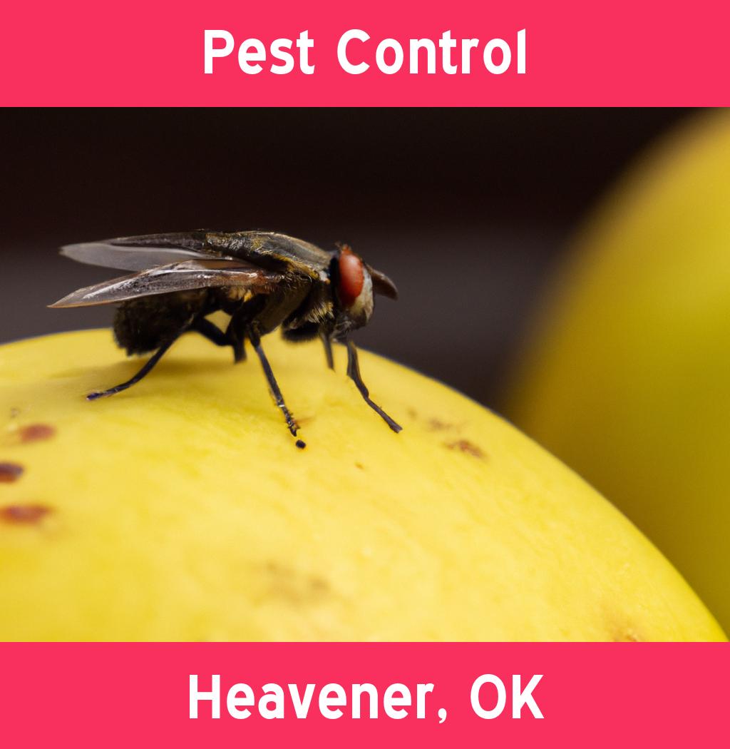 pest control in Heavener Oklahoma