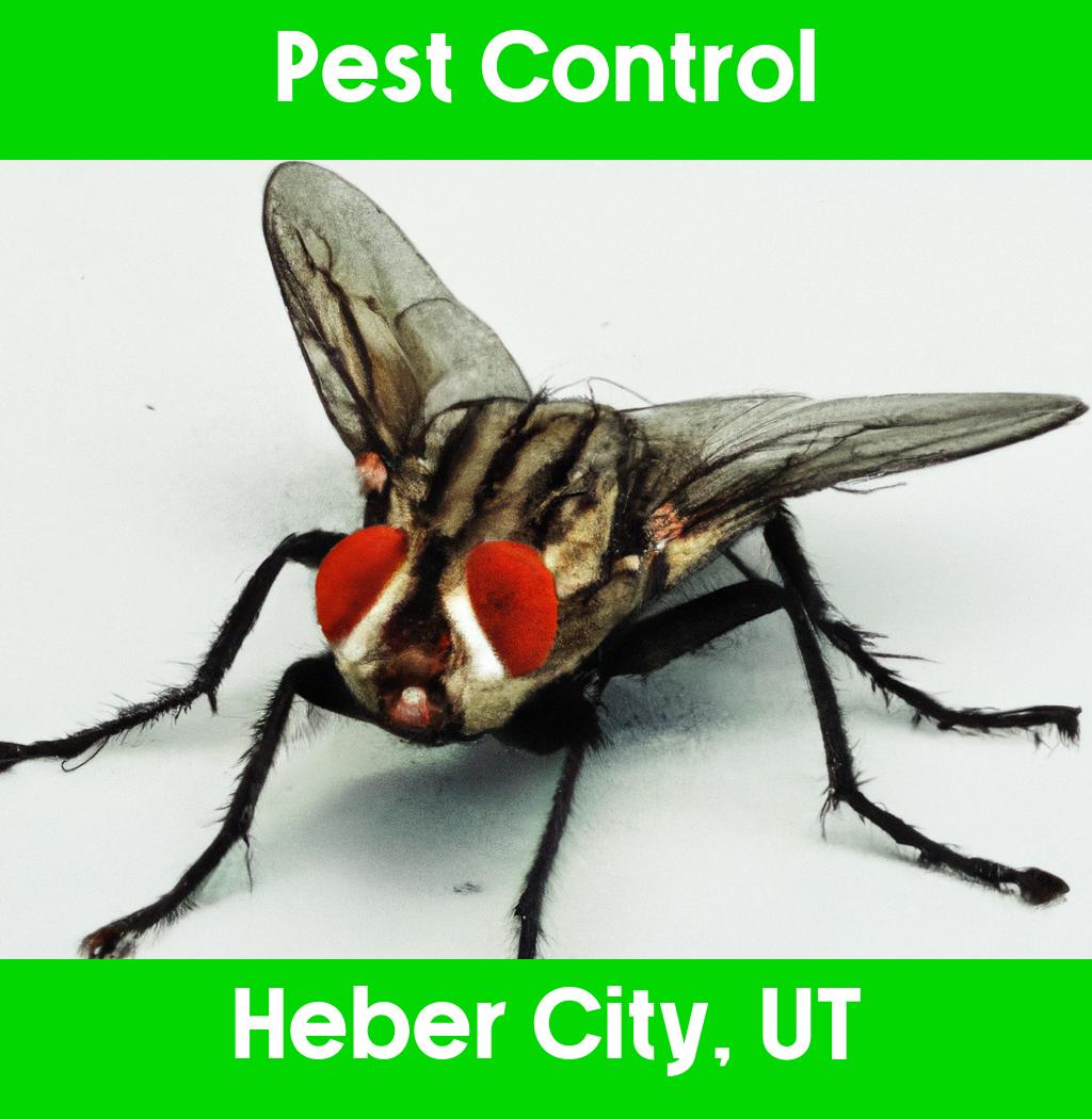 pest control in Heber City Utah