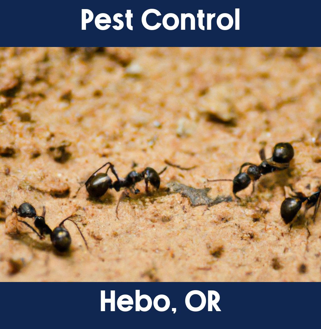 pest control in Hebo Oregon