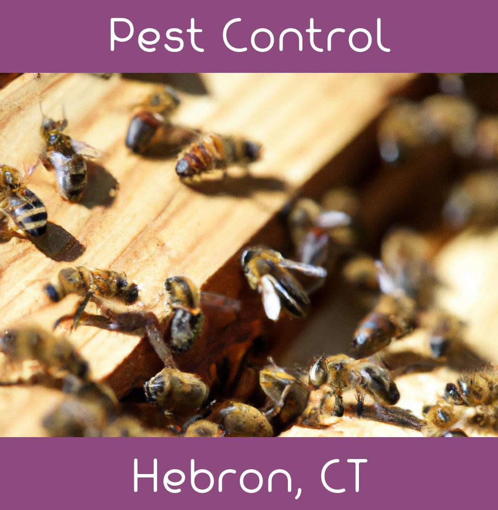 pest control in Hebron Connecticut