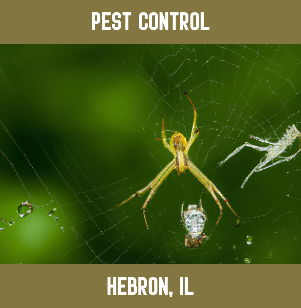 pest control in Hebron Illinois