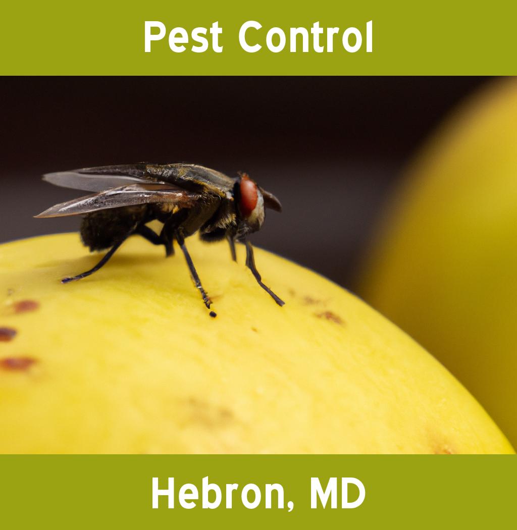 pest control in Hebron Maryland