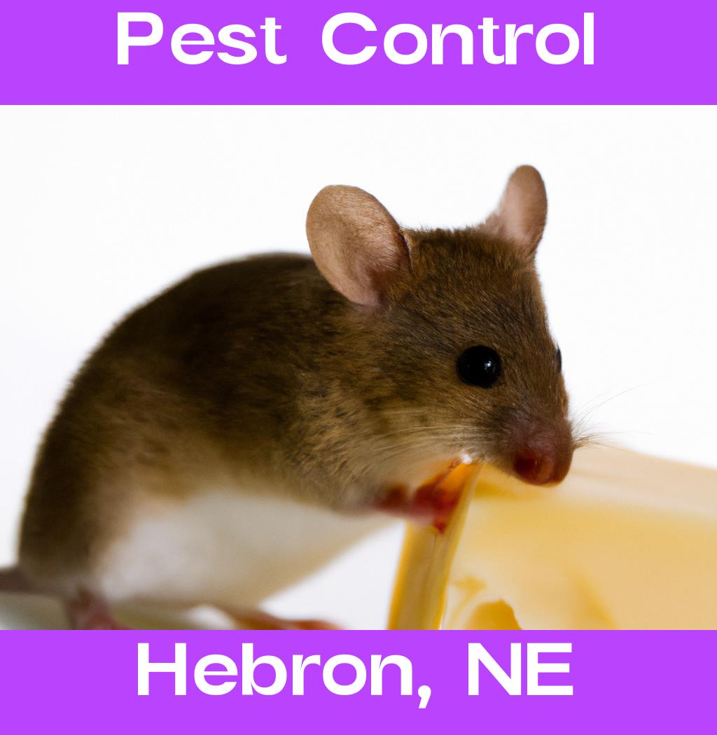 pest control in Hebron Nebraska