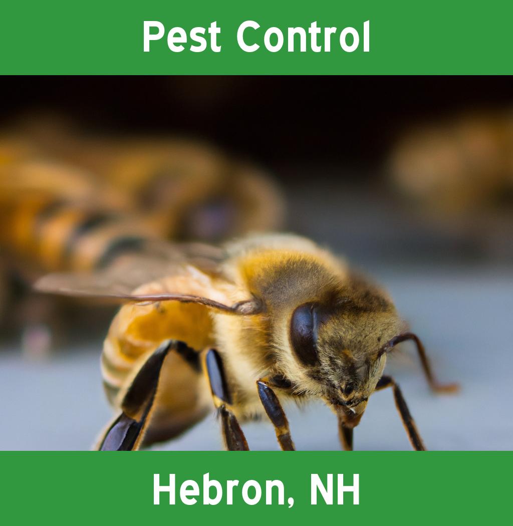 pest control in Hebron New Hampshire