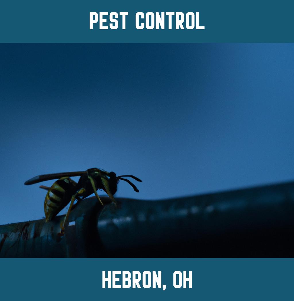 pest control in Hebron Ohio