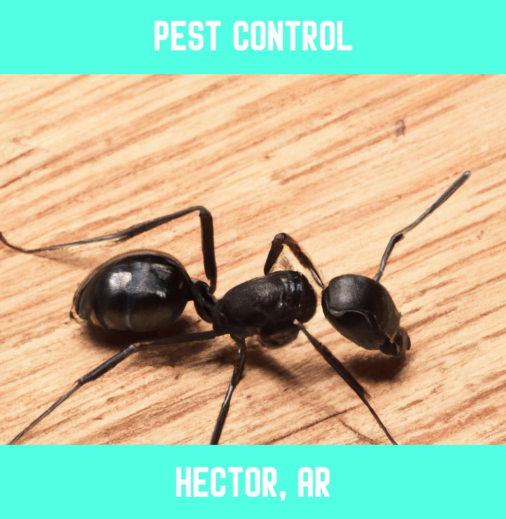 pest control in Hector Arkansas