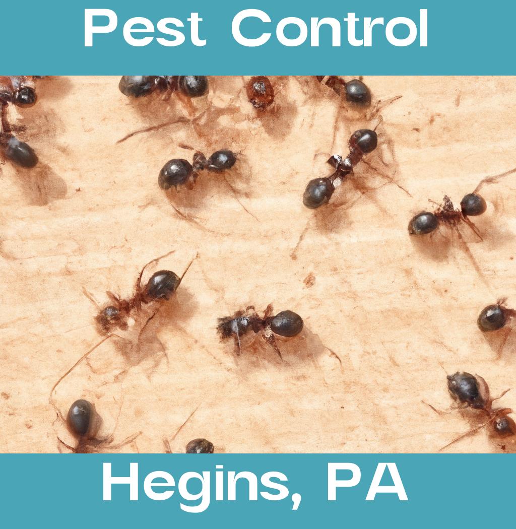 pest control in Hegins Pennsylvania