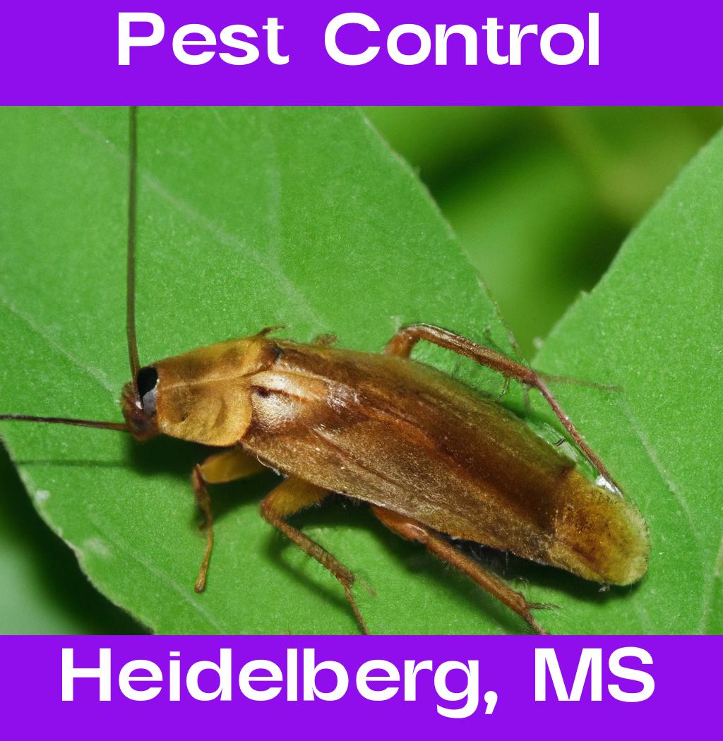 pest control in Heidelberg Mississippi