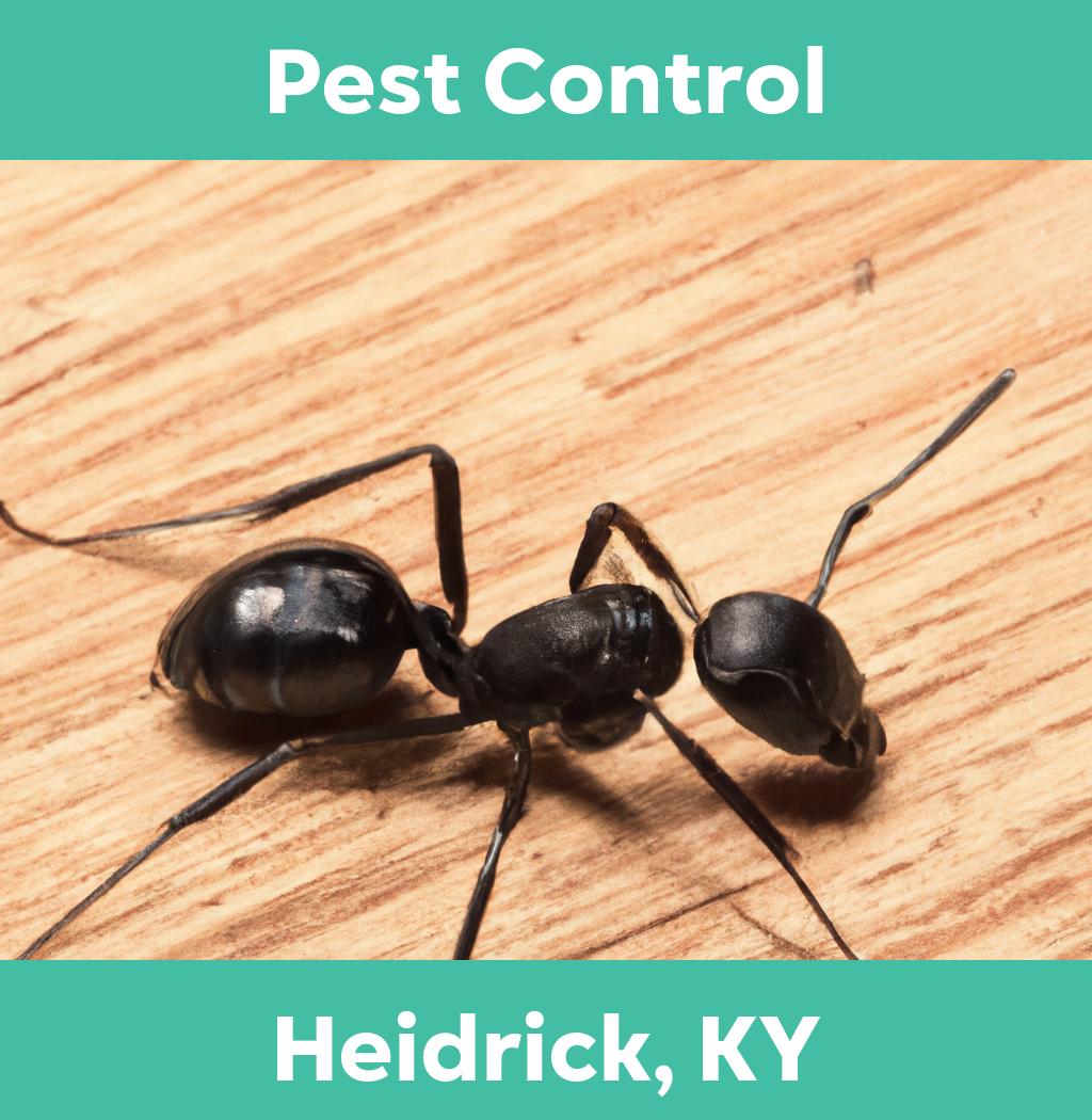 pest control in Heidrick Kentucky