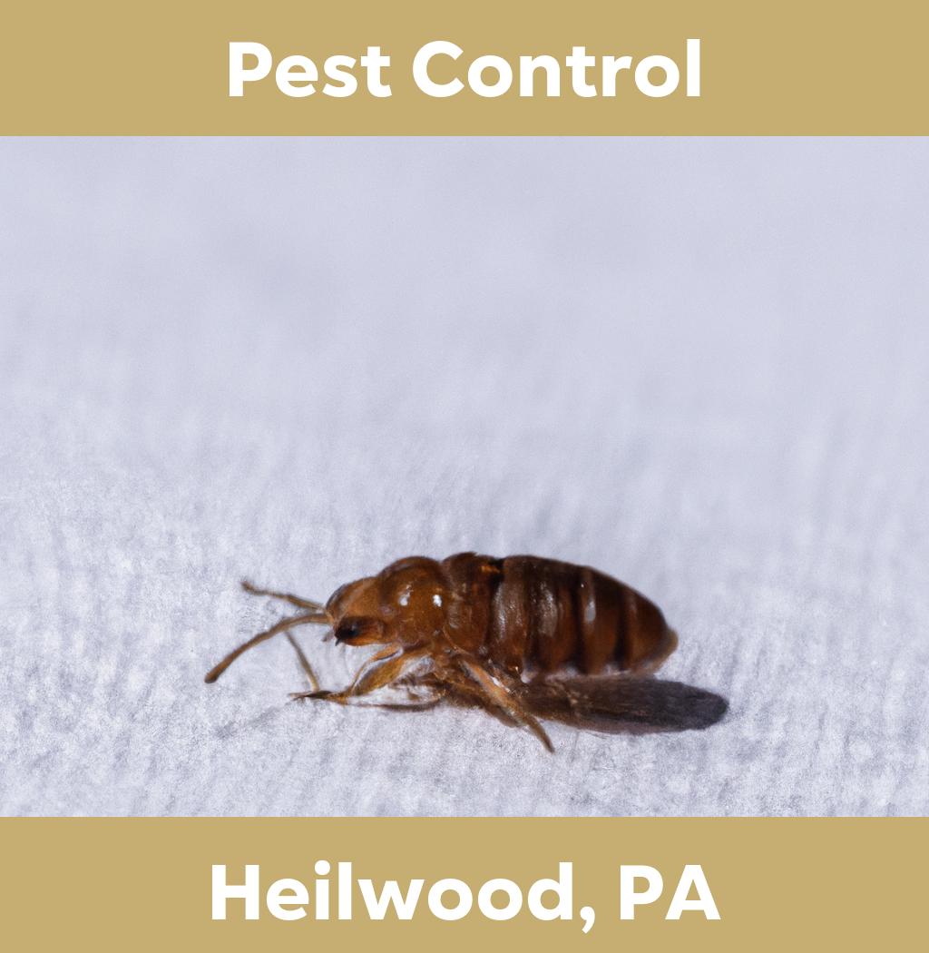 pest control in Heilwood Pennsylvania
