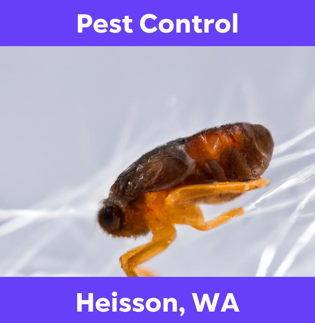 pest control in Heisson Washington