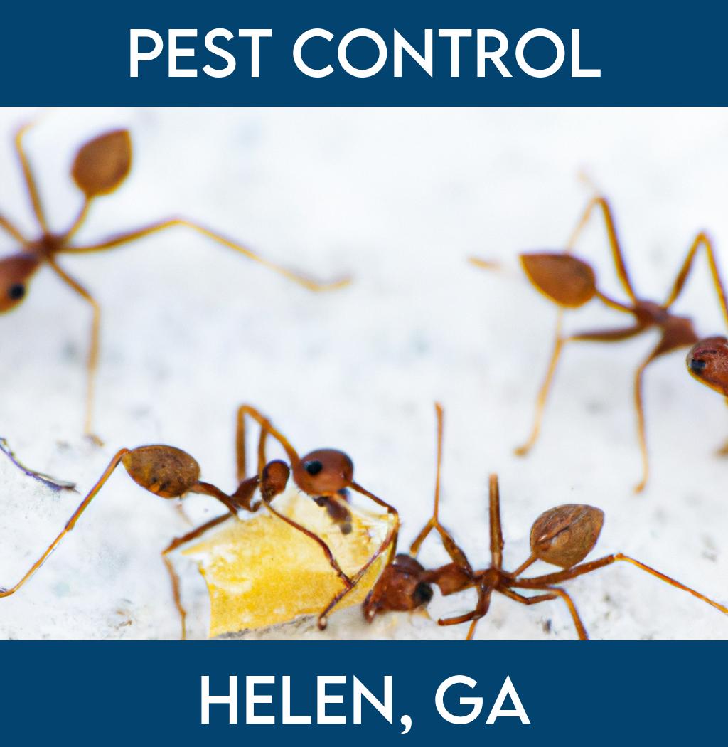 pest control in Helen Georgia