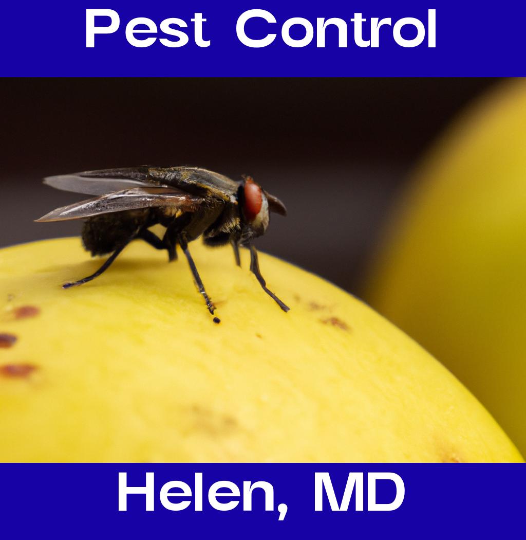 pest control in Helen Maryland