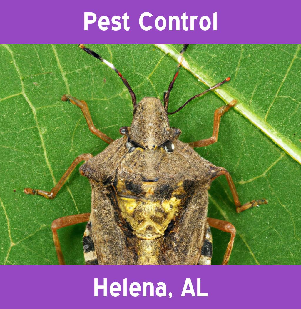 pest control in Helena Alabama